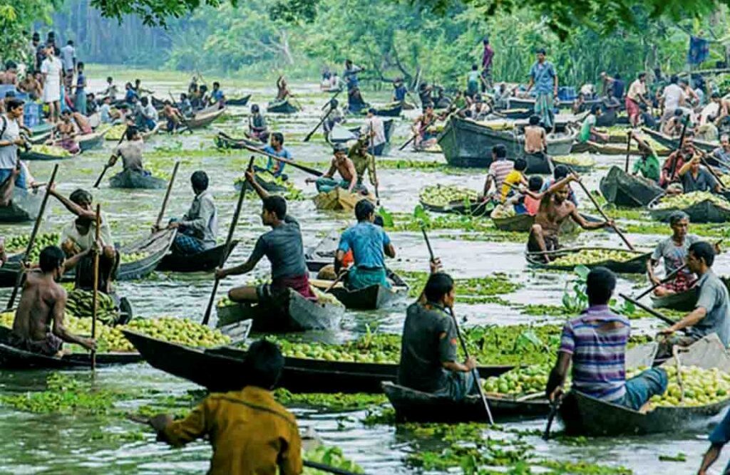 Floating Guava Market Area, Barishal