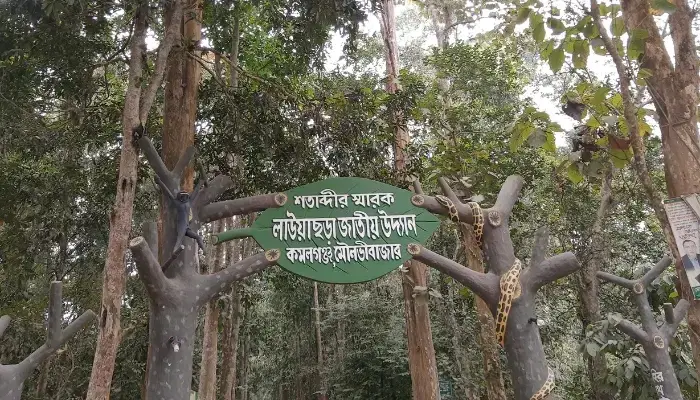Lawachara National Park