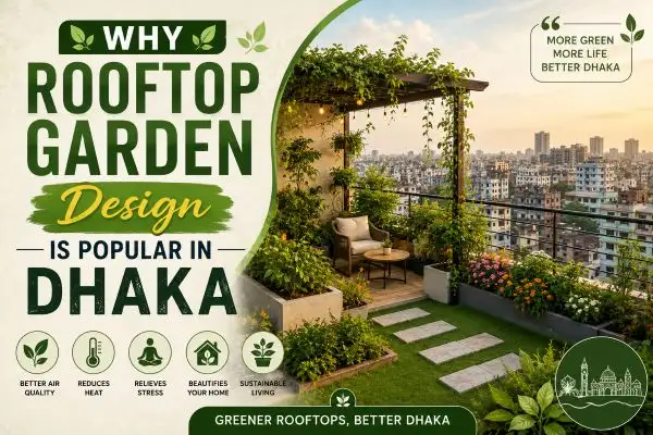 Why Rooftop Garden Design is Popular in Dhaka